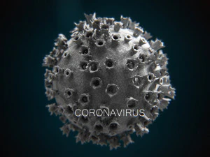 2019-ncov coronavirus 3D Model