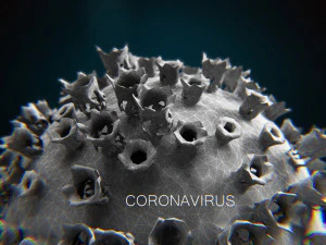 2019-ncov coronavirus 3D Model