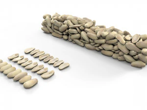 peanuts 3D Model