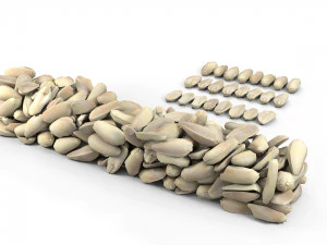 peanuts 3D Model