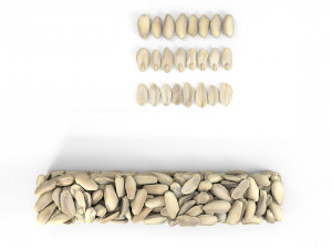 peanuts 3Dモデル