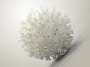 3d print of coronavirus 3D Print Model