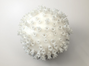 3d print of coronavirus Model Cetak 3D