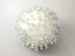 3d print of coronavirus 3D Print Model