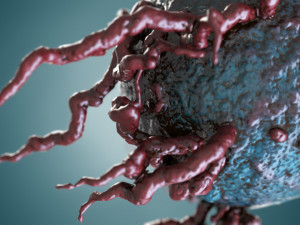 mutant cell pbr Model 3D
