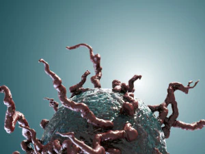 mutant cell pbr 3D Model