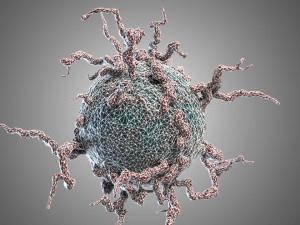 mutant cell pbr Model 3D