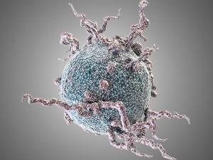 mutant cell pbr Model 3D