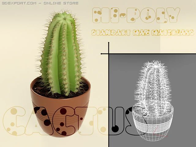 cactus 3D Model .c4d .max .obj .3ds .fbx .stl .blend 