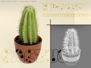 cactus 3D Model