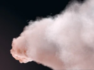 cloud vdb 02 3D Model