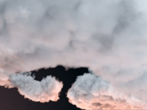 cloud vdb 04 Model 3D