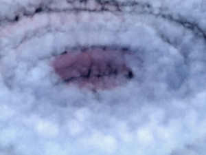 hurricane cloud 3D 模型