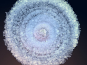 hurricane cloud 3D 模型