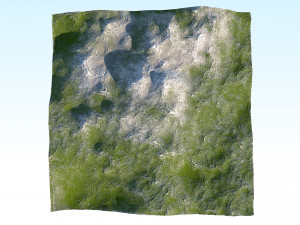 terrain 01 Modello 3D