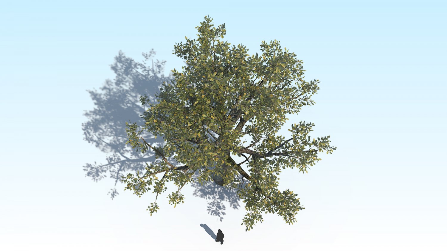 дерево 3д модель для печати. дуб дерево. дерево 2м. N-дерево. 3 дуб 1 дерево 2.