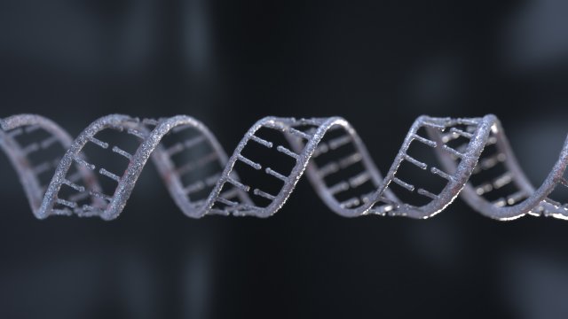 DNA 3D Model .c4d .max .obj .3ds .fbx .lwo .lw .lws