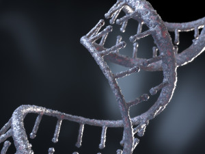 DNA 3D-Modell