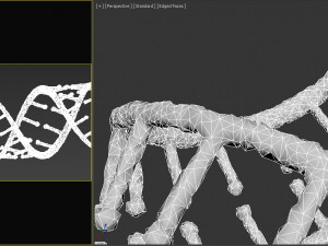 DNA 3D-Modell