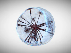 세포 돌연변이 3D 모델