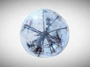 कोशिका उत्परिवर्तन 3D मॉडल