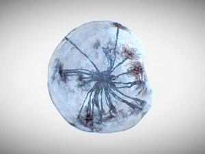 कोशिका उत्परिवर्तन 3D मॉडल