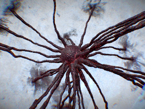 Cell Mutation 3D Модель
