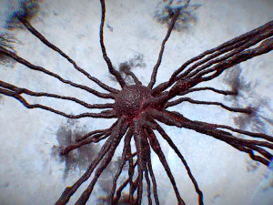 कोशिका उत्परिवर्तन 3D मॉडल