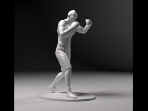 Boxer 01 3D Print Model