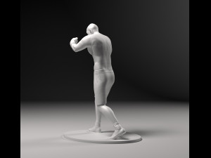 Boxer 01 Model do druku 3D