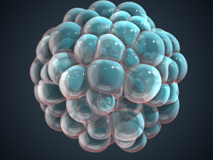 Cells Division Alembic Sequence 3D मॉडल