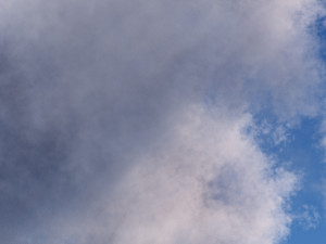 VDB Clouds 16 3D 模型