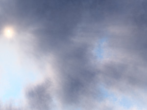 VDB Clouds 16 3D 模型