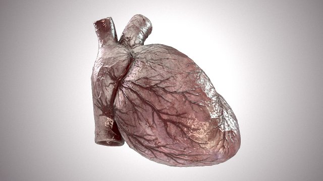 Human Heart Anatomic Animated PBR Modelo 3D .c4d .max .obj .3ds .fbx .stl .blend 