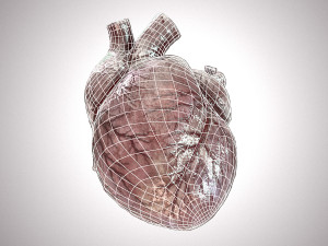 Human Heart Anatomic Animated PBR Modelo 3D