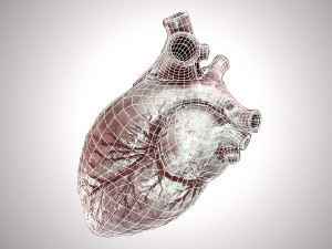 Human Heart Anatomic Animated PBR Modelo 3D
