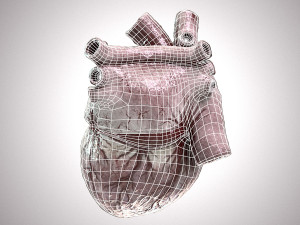 Human Heart Anatomic Animated PBR Modelo 3D