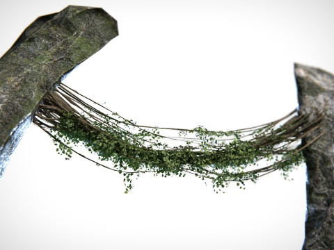 Liana 01 PBR 3D Модель