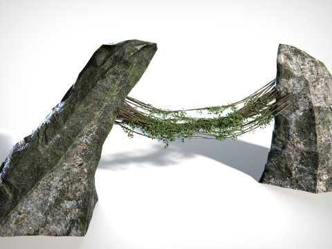 Liana 01 PBR 3D Model