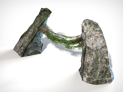Liana 01 PBR 3D Model