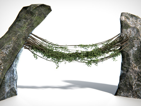 Liana 01 PBR 3D Model