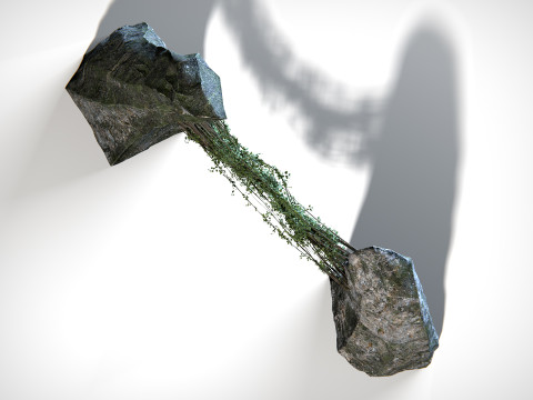 Liana 01 PBR 3D Model