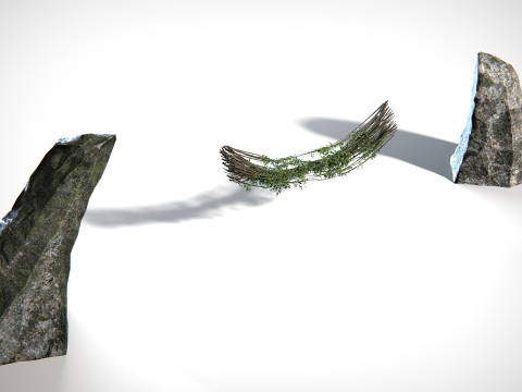 Liana 01 PBR 3D Model
