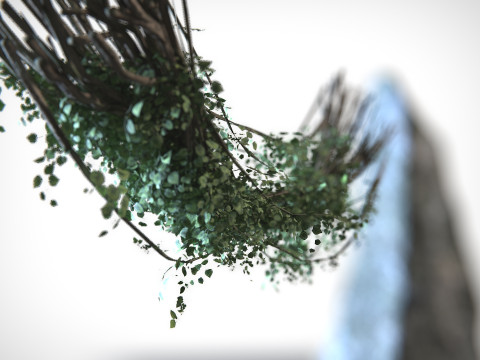Liana 01 PBR 3D Model