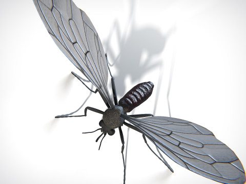 Mosquito PBR Modelo 3D