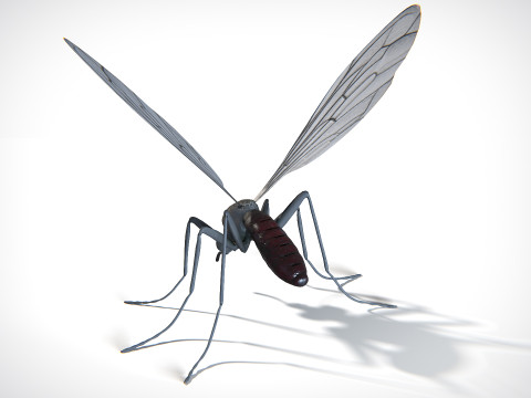 Mosquito PBR Modelo 3D