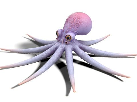 문어 노나 PBR 3D 모델