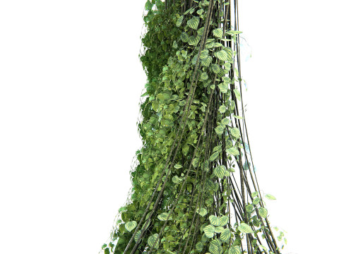 Plante de lianes 02 PBR Modèle 3D