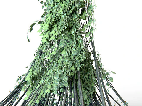 Pianta Liana 02 PBR Modello 3D