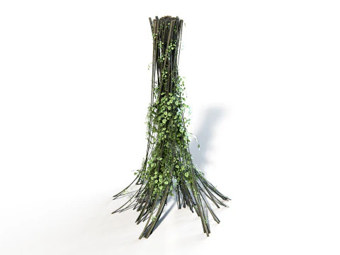 Pianta Liana 02 PBR Modello 3D